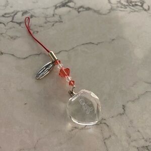 Tokyo Disneyland Resort Mickey Keychain